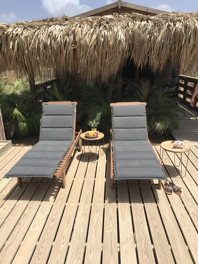 קרלנדיק Bonaire Boutique Resort מראה חיצוני תמונה